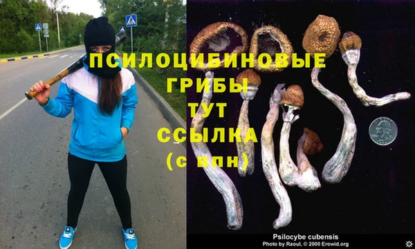 MDMA Карпинск