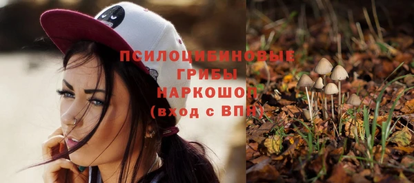MDMA Карпинск