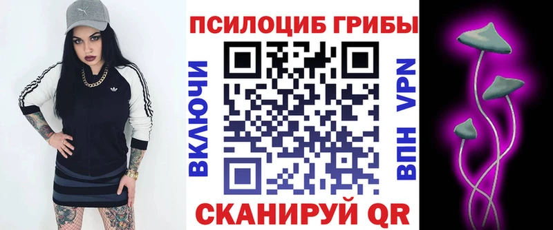 Купить  Ленинск  Галлюциногенные грибы Cubensis 