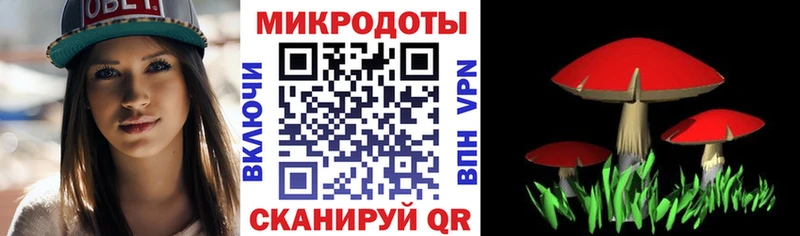 Галлюциногенные грибы прущие грибы Ленинск