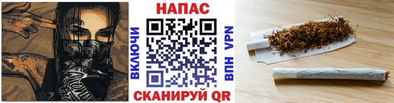Конопля Bruce Banner  Купить где  Ленинск 